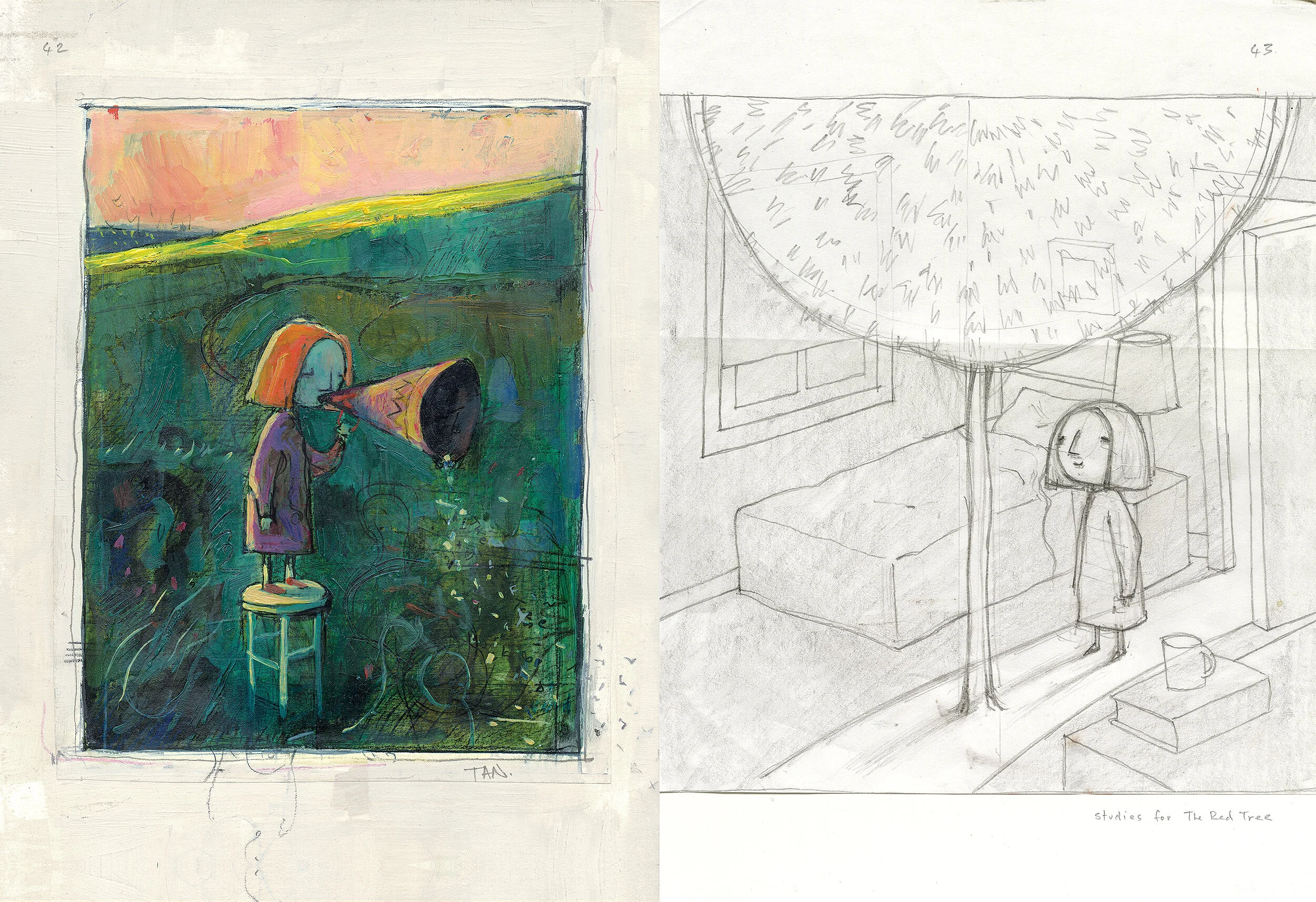 Bird King book — shaun tan